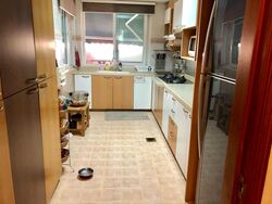 Washingtonia Villa (D28), Semi-Detached #571153501